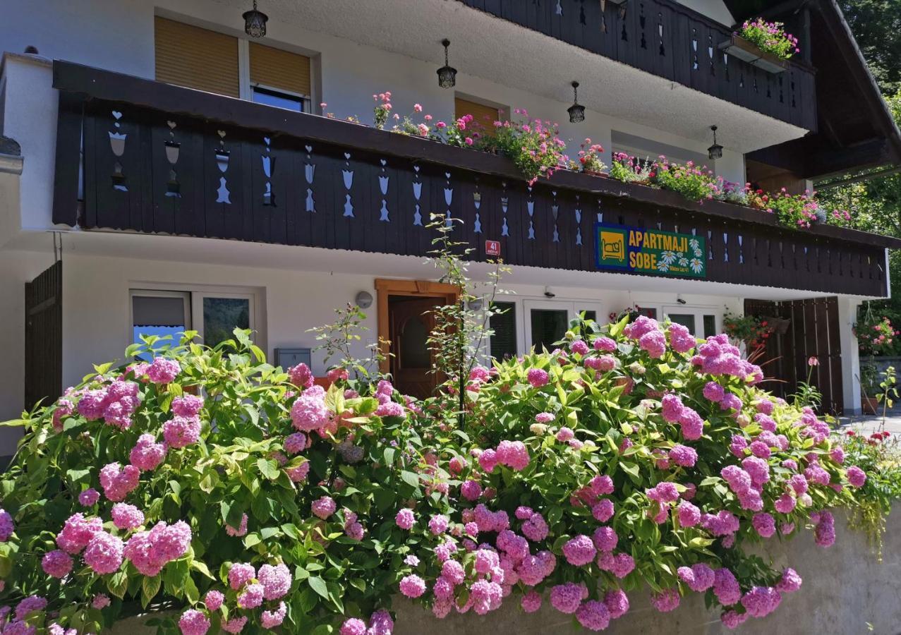 Accommodation Destina, Lake Bohinj Εξωτερικό φωτογραφία