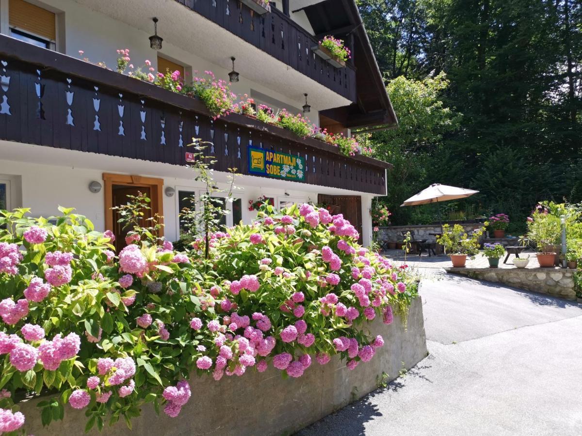 Accommodation Destina, Lake Bohinj Εξωτερικό φωτογραφία